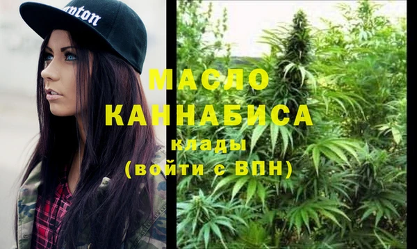 ECSTASY Бородино