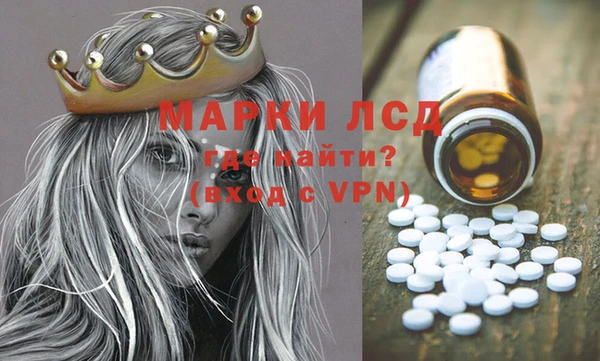 ECSTASY Бородино