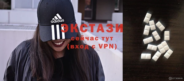 ECSTASY Бородино