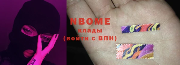 ECSTASY Бородино