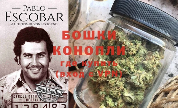 ECSTASY Бородино