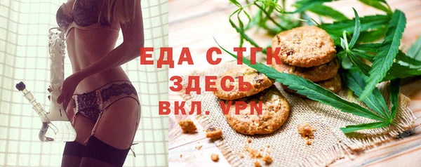 ECSTASY Бородино