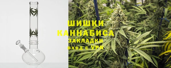 ECSTASY Бородино