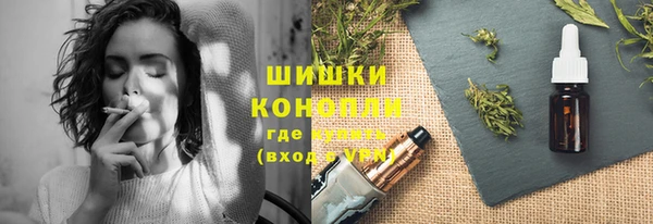 ECSTASY Бородино