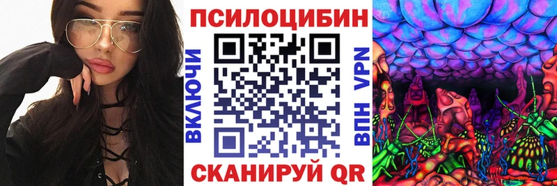 Галлюциногенные грибы Psilocybine cubensis  Купить закладки  Галич 